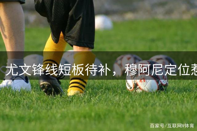 尤文锋线短板待补，穆阿尼定位惹争议