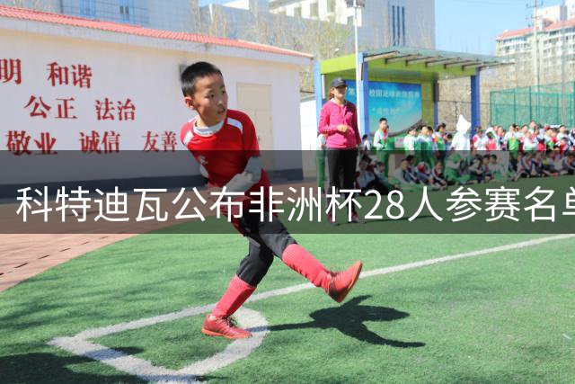 科特迪瓦公布非洲杯28人参赛名单 五大联赛名将领衔